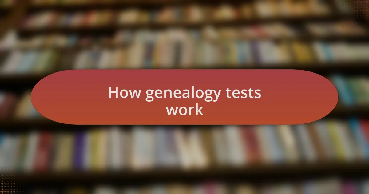 How genealogy tests work