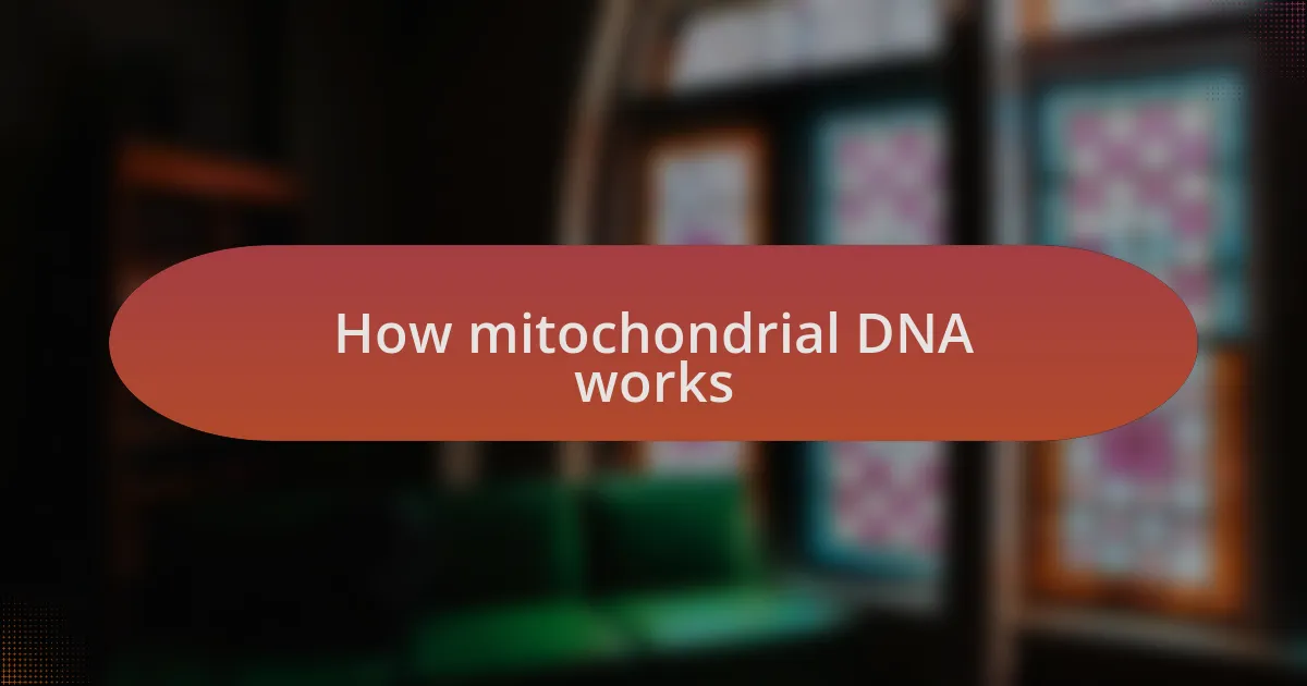 How mitochondrial DNA works