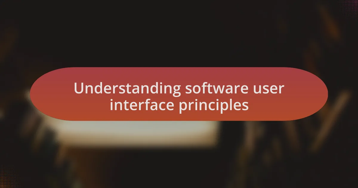 Understanding software user interface principles